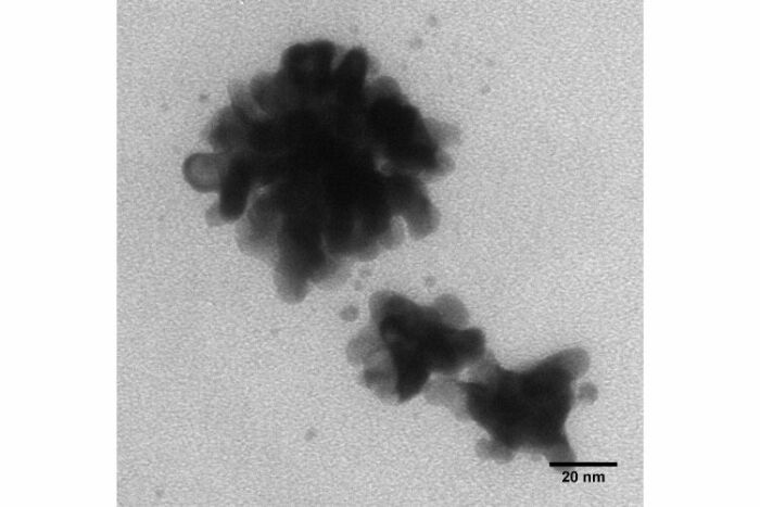 Nanofleurs d'or TORSKAL - Image microscopique 2