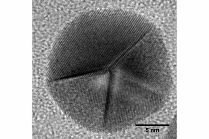Nanoparticules d'or sphériques TORSKAL - Image microscopique 1