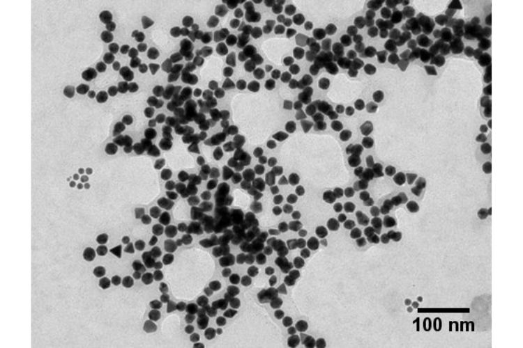 Nanoparticules d'or sphériques TORSKAL - Image microscopique 2