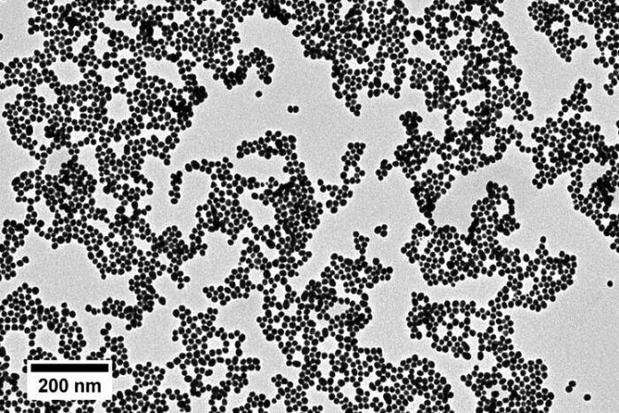 Nanoparticules d'or sphériques TORSKAL (image microscopique) 16nm