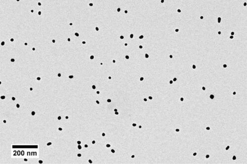 Nanoparticules d'or sphériques TORSKAL (image microscopique) 25nm