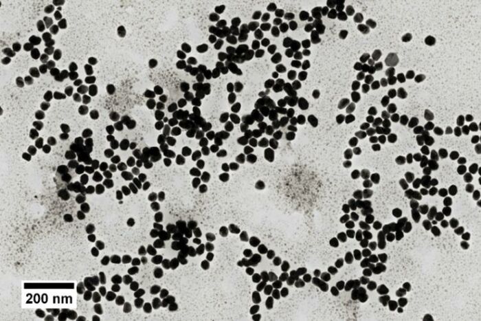 Nanoparticules d'or sphériques TORSKAL (image microscopique) 35nm