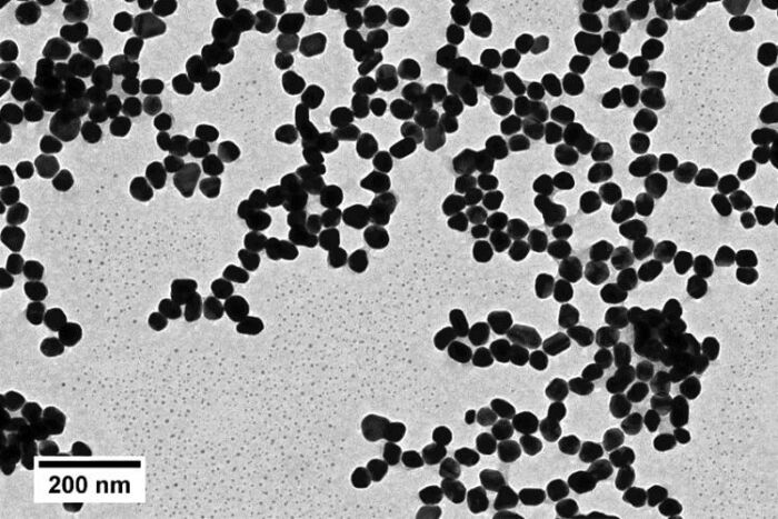 Nanoparticules d'or sphériques TORSKAL (image microscopique) 40nm